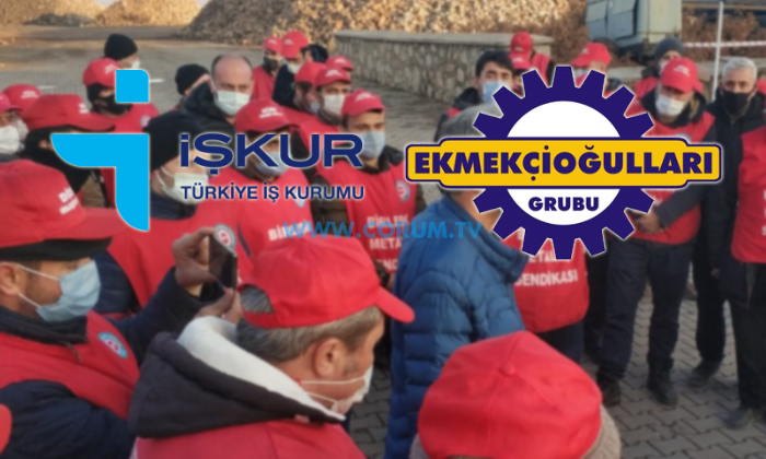 İş-Kur, İşçileri Haklı Buldu