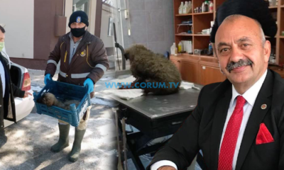 İsbir: Hayvanlar Bize Allah’ın Bir Emaneti