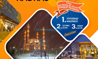 Kış Bakışı Ak Çorum Fotoğraf Yarışması