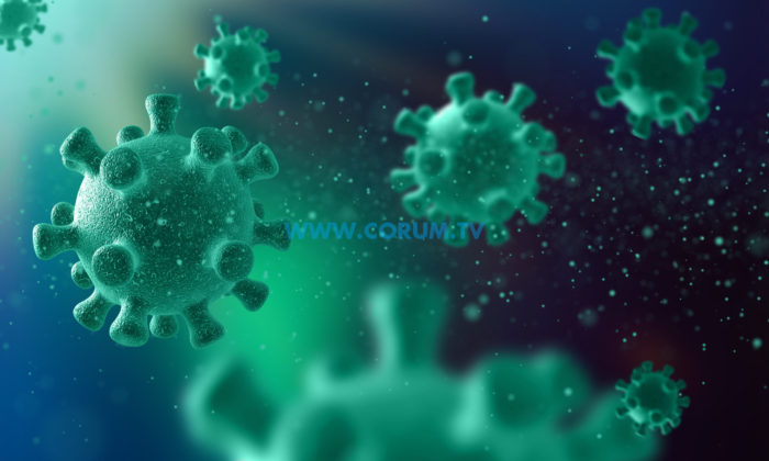 İki Kişide Mutasyona Uğramış Virüs Tespit Edildi