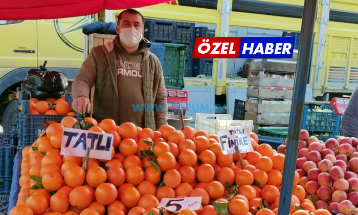 Salatalık ve Biber Fiyatları Korkutuyor