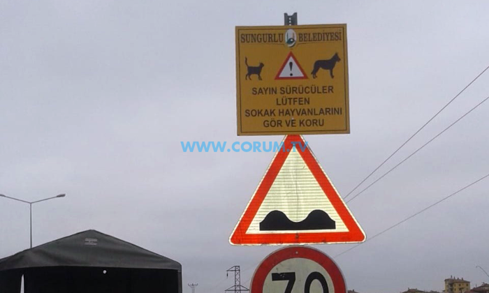 Sungurlu Belediyesi’nden Takdir Toplayan Tabela