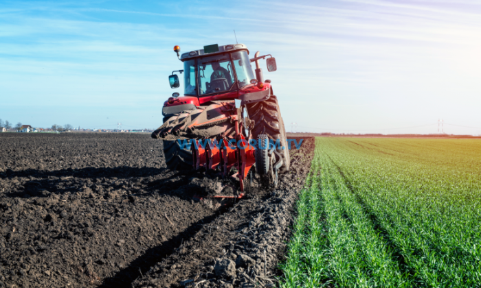 Bu Ürünleri Ekenler Desteklenecek