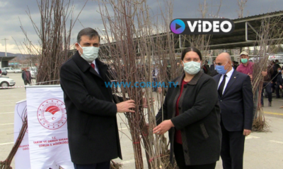 207 Köye 7 Bin Fidan