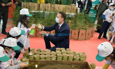 4 Bin Fidan Dağıtıldı