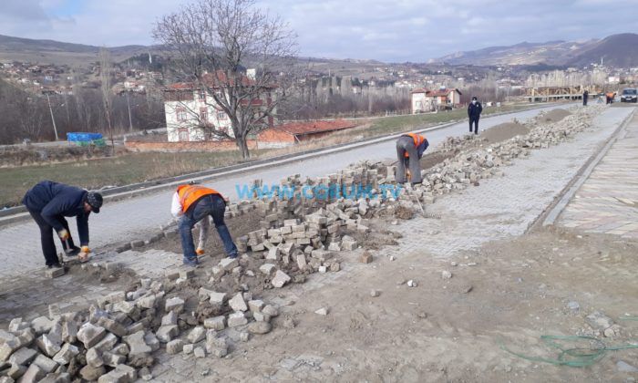 Bayat’ta Bahar Temizliği