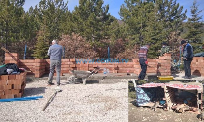 Ortaköy Belediyesi’nden Minik Yavrulara Barınak