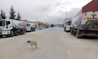 Sanayide Bahar Temizliği