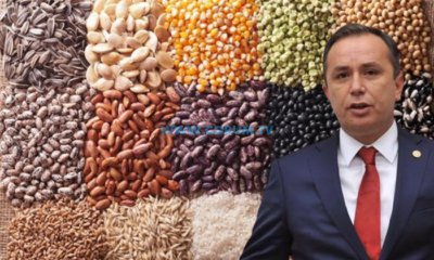 Üreticiye Sertifikalı Nohut Dağıtılacak