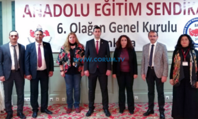 Çorum’dan AES’in Yönetim Kuruluna ve Üst Kurula Seçildiler