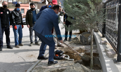 İskilip Belediyesi Yeşil Seferberliği Başlattı