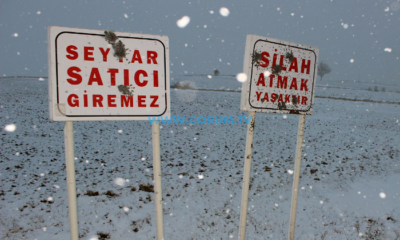 Levhaların İçler Acısı Hali