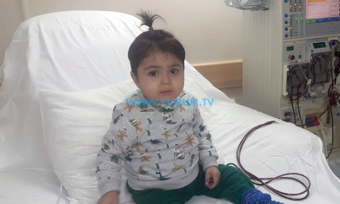 Minik Baran Hayata Veda Etti