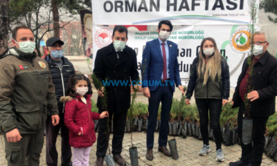 Oğuzlar’da Orman Haftası Kutlandı