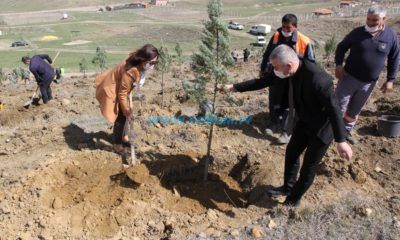 Belediye Personeli ve İYİ Parti Teşkilatı Fidan Dikti