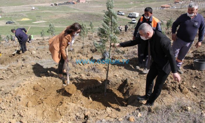 Belediye Personeli ve İYİ Parti Teşkilatı Fidan Dikti
