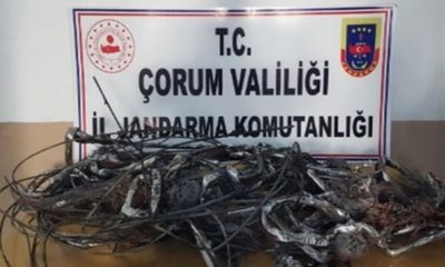 Alaca’da Kablo Hırsızlığı