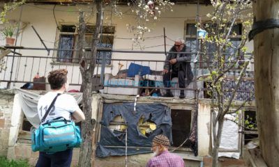 İskilip Belediyesi Ulu Çınarların Yanında