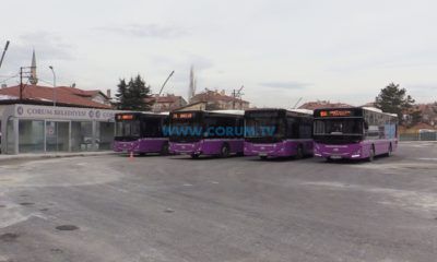 Muaf Olanlar Dikkat, Toplu Taşımada Saatler Değişti