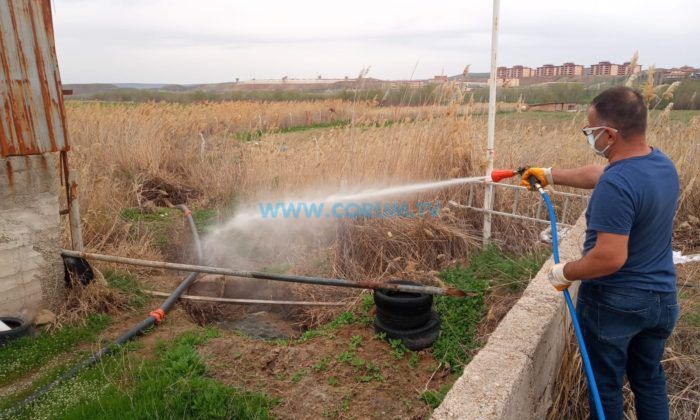 Sungurlu’da Vektörel Mücadele Başladı