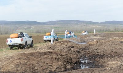 Vektörel Mücadele Erken Başladı