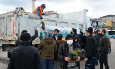 Alaca Belediyesi 2 Bin 500 Adet Fidan Dağıttı