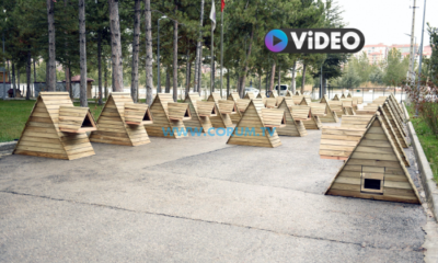 Belediyeden Sokaktaki Canlar İçin 38 Kedi Evi