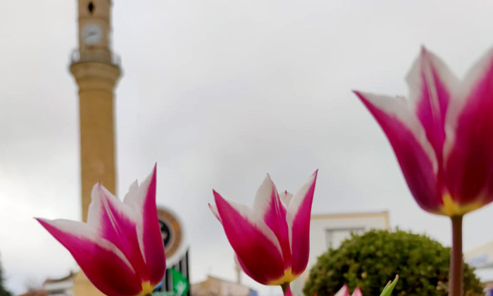 “Çorum’da Bahar” Fotoğraf Yarışması