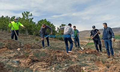 Mecitözü Polisinden Doğaya Bin 176 Fidan