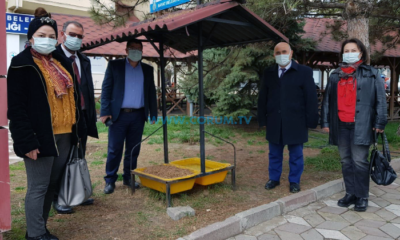 “Ulaşılmayan Sokak Hayvanı Kalmayacak”