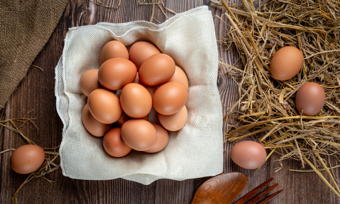 Tavuk ve Yumurta Üretimi Azaldı