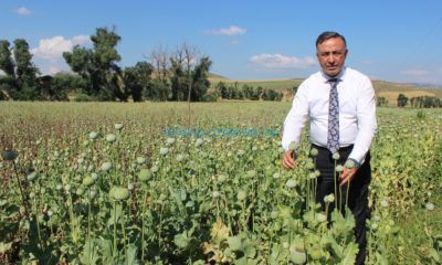 Tahtasız: Çiftçi Büyürse Tarım Büyür, Tarım Büyürse Ülke Büyür