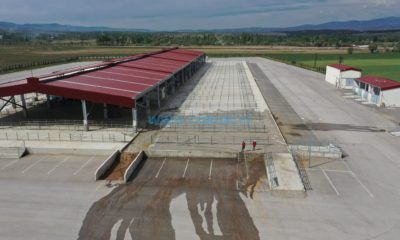 Hayvan Pazarı Yeniden Açılıyor