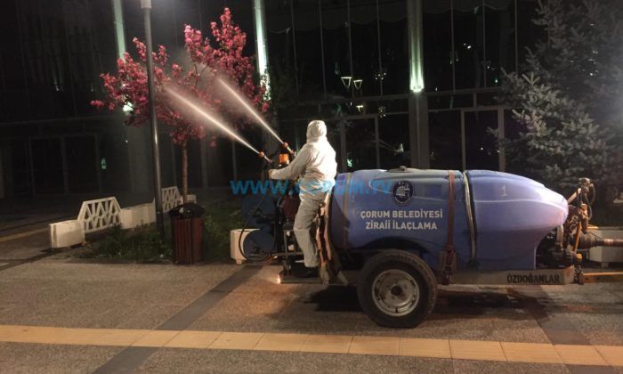 Yaprak Bitine Erken Müdahale