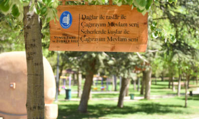 Ağaçlara, Yunus Emre Sözleri Asıldı