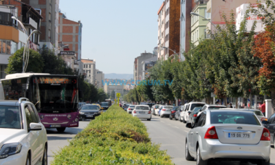 Caddede Artık Park Yasak