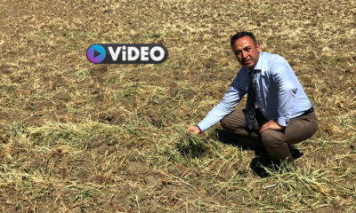 “Çorum, Afet Bölgesi İlan Edilsin”