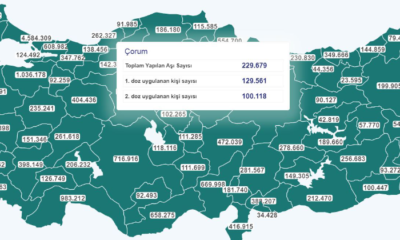 Çorum’un %25’i Aşılandı
