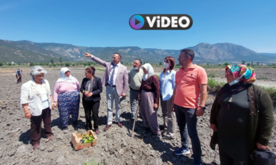 Devrez Çayı Kurudu, Çeltik Arazileri Susuz Kaldı