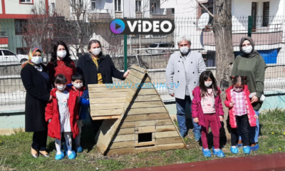 Kedi Evleri Artıyor