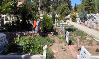 Mezarlıklarda Bayram Temizliği