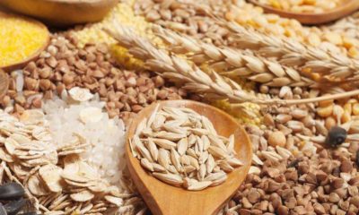 Tahıl ve Sebzede Düşüş Bekleniyor