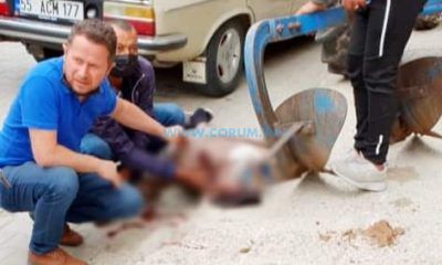 Pulluk Altında Can Verdi