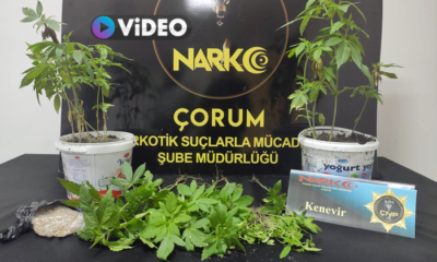 Uyuşturucu Operasyonu