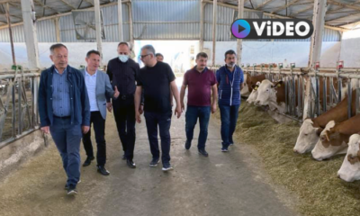 Ahlatcı’dan Süt Üreticilerine Ziyaret