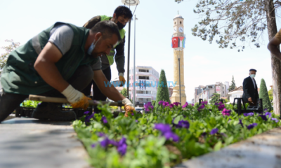Çiçek Dikimleri Sürüyor
