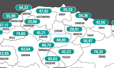 Vaka Sayısında Yerimizde Saydık