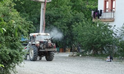 İskilip’te Sinekle Mücadeleye Devam