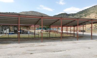 Osmancık Hayvan Pazarında Hazırlıklar Tamamlandı