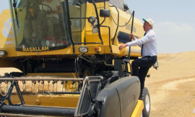 Biçerdöverlere Sıkı Denetim